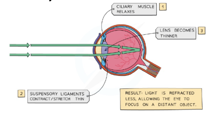 Distant Object: